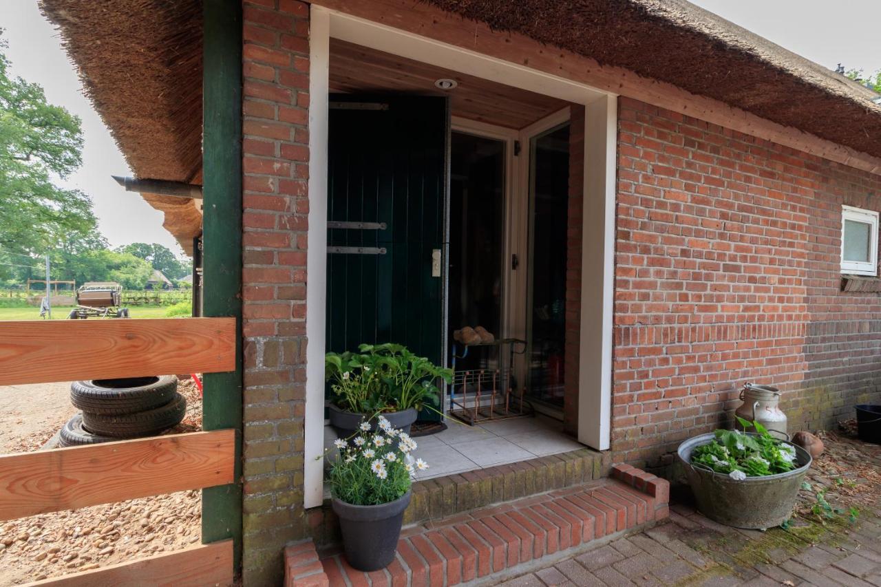 Het Grote Paard Apartment Havelte Exterior photo
