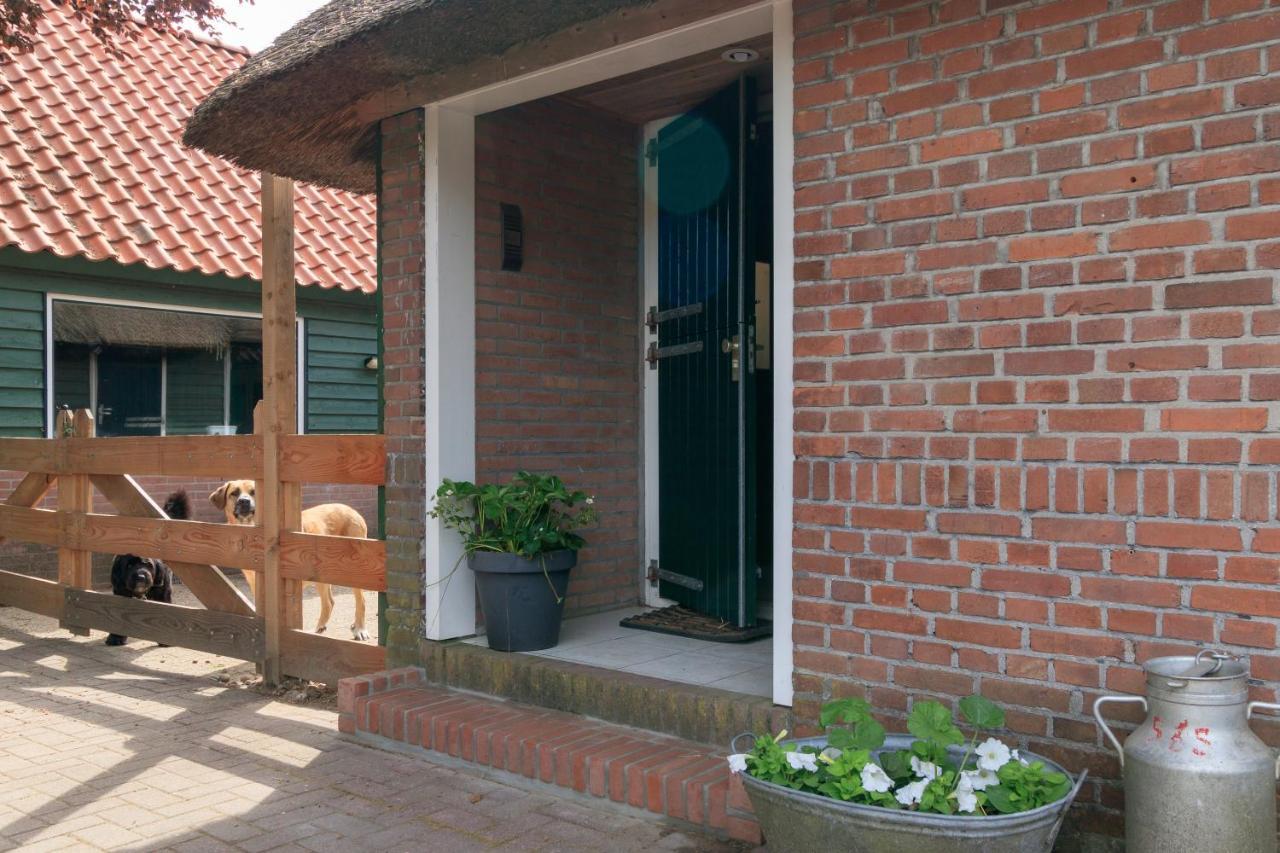 Het Grote Paard Apartment Havelte Exterior photo